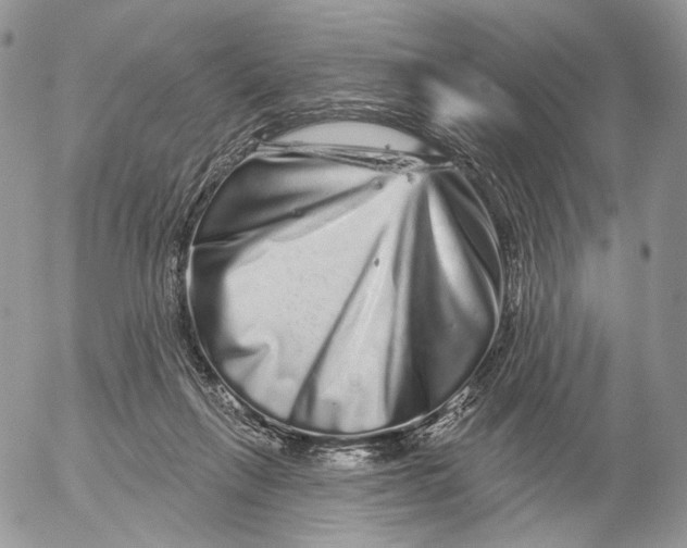 X0000052590263200507221616