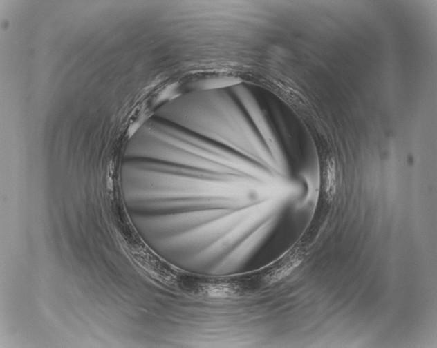 X0000052590264200507221616
