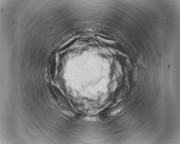 X0000052590270200507221616