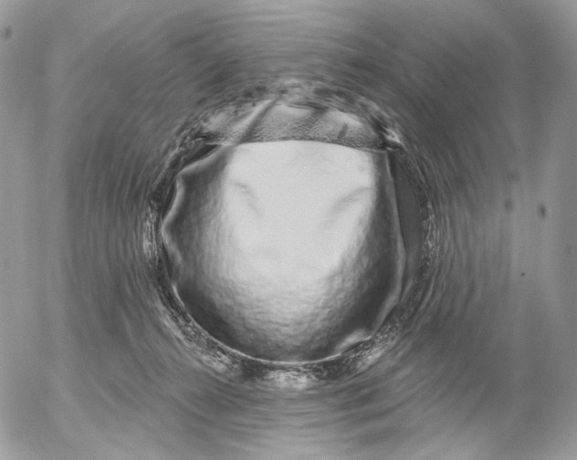 X0000052590272200507221616