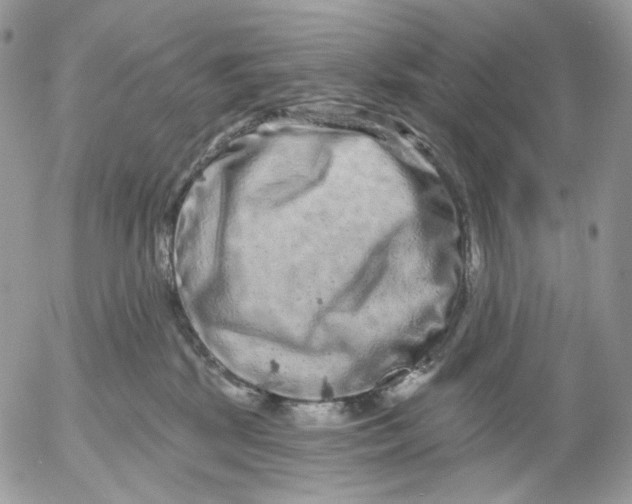 X0000052590281200507221616