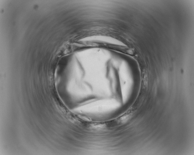 X0000052590283200507221616