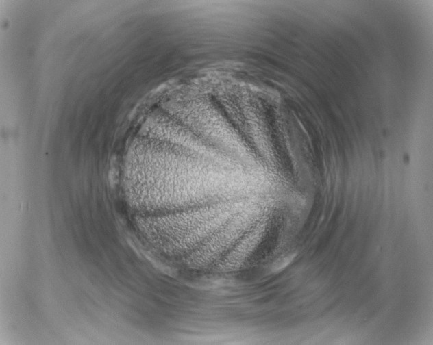 X0000052590284200507221616