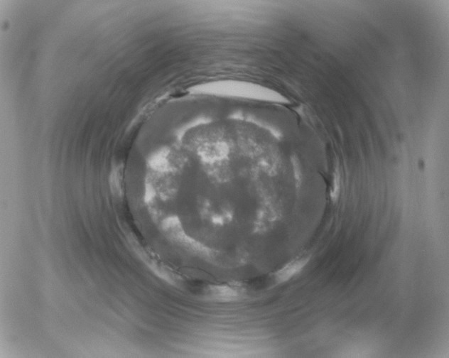 X0000052590286200507221616