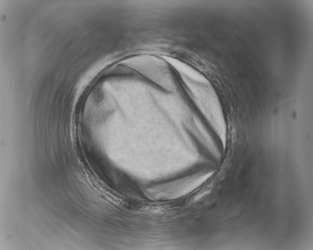 X0000052590294200507221615