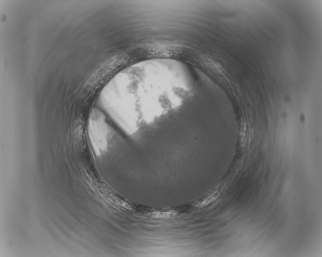 X0000052590314200507221615