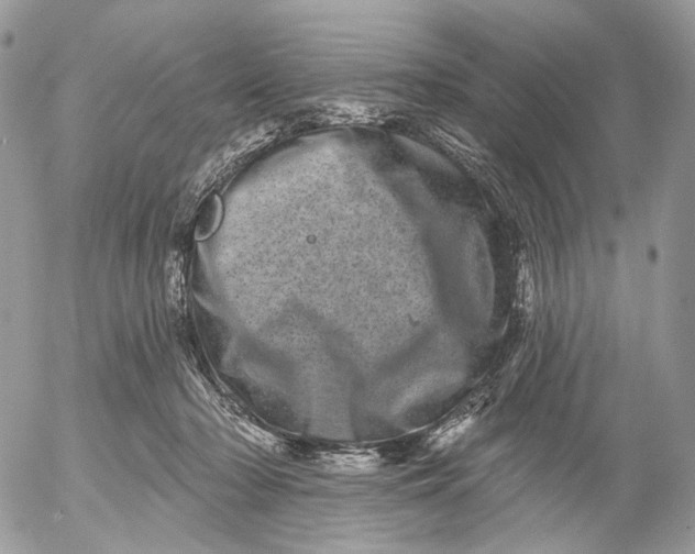 X0000052590318200507221615