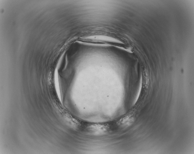 X0000052590326200507221615