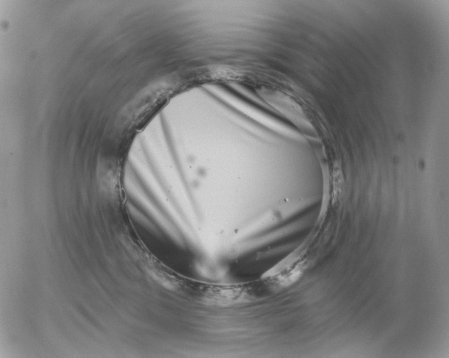 X0000052590329200507221615