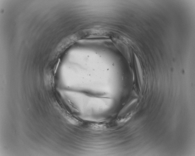 X0000052590333200507221615