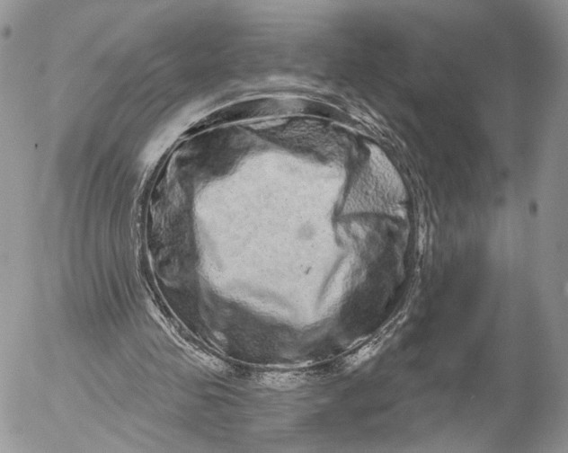 X0000052590341200507221614