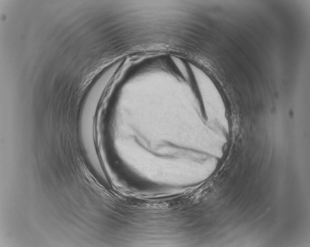 X0000052590345200507221614