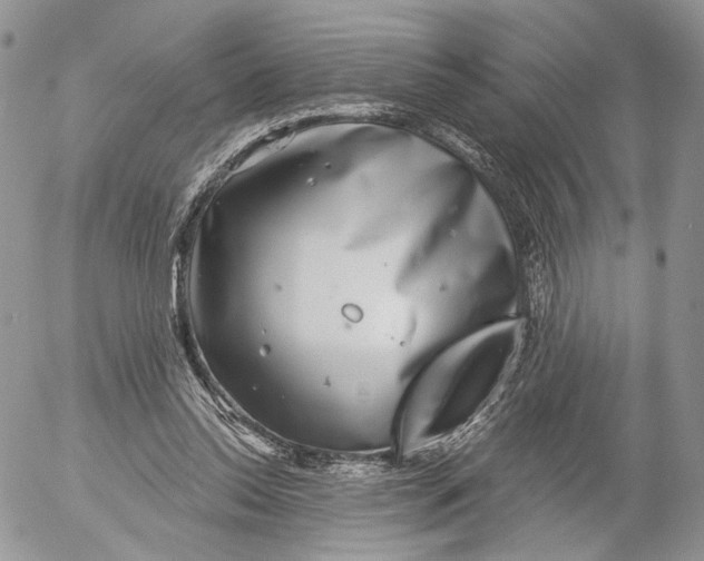 X0000052590350200507221614