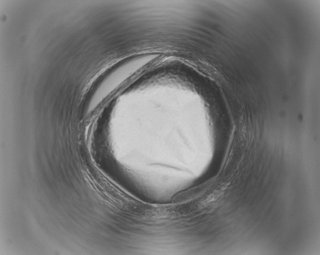 X0000052590351200507221614