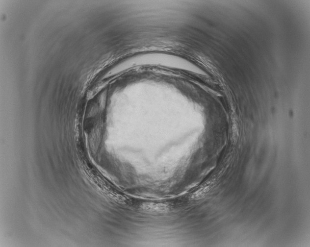 X0000052590354200507221614