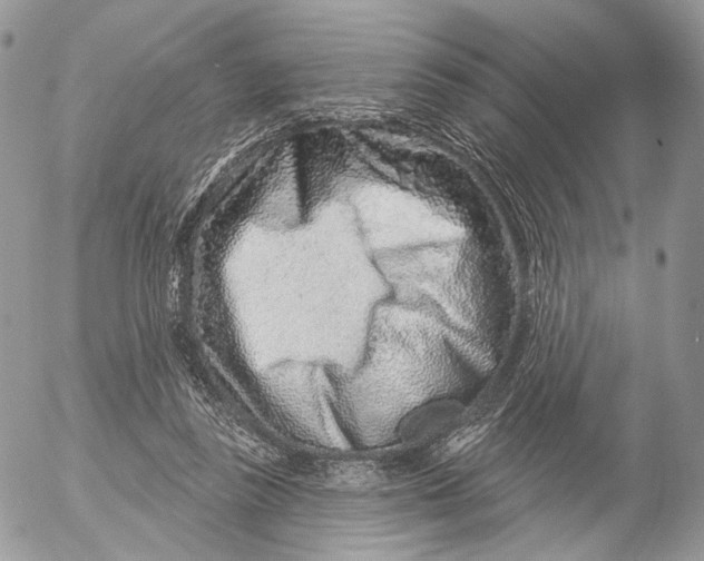 X0000052590355200507221614