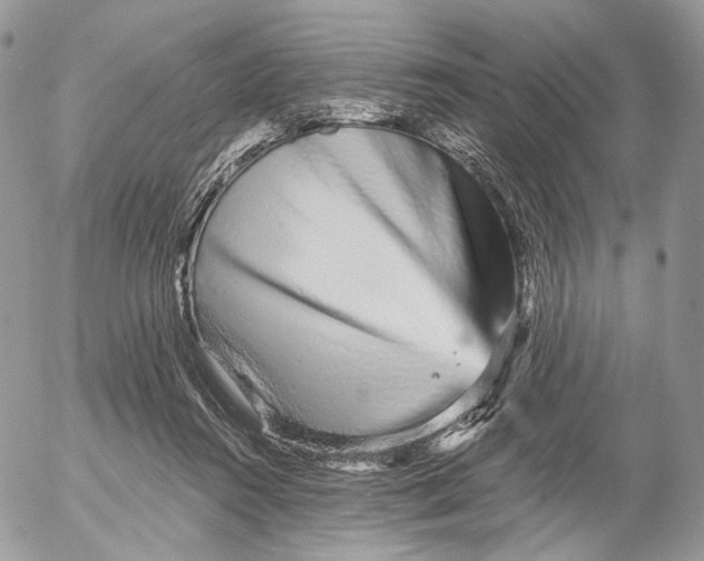 X0000052590360200507221614
