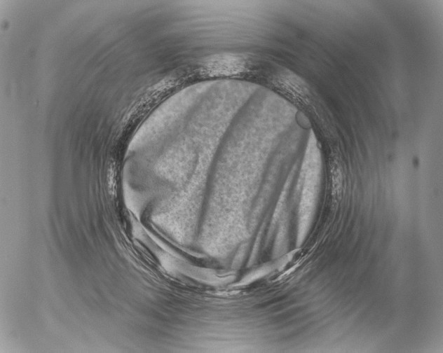 X0000052590362200507221614