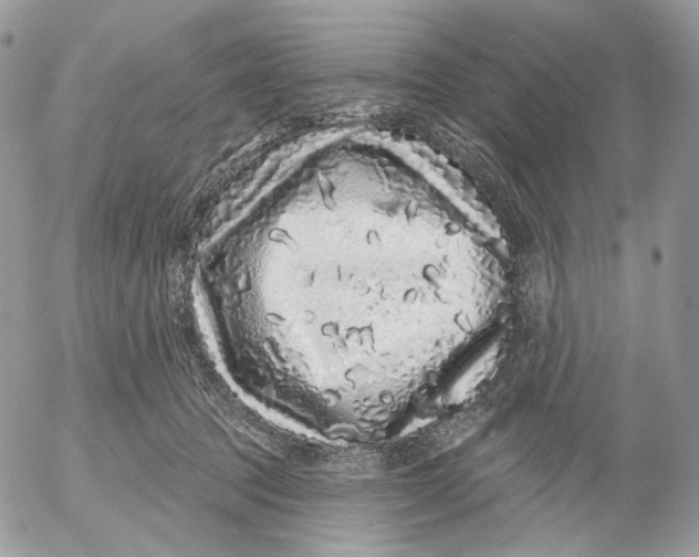 X0000052590369200507221614