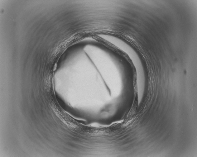 X0000052590405200507221614
