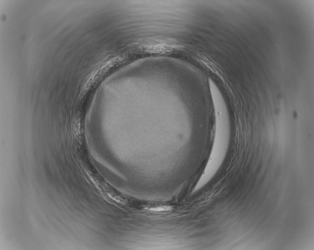 X0000052590407200507221614