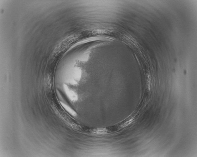 X0000052590410200507221613