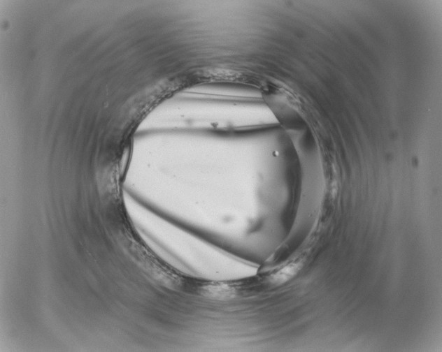 X0000052590425200507221613