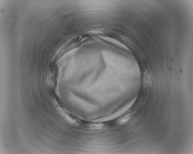X0000052590428200507221613