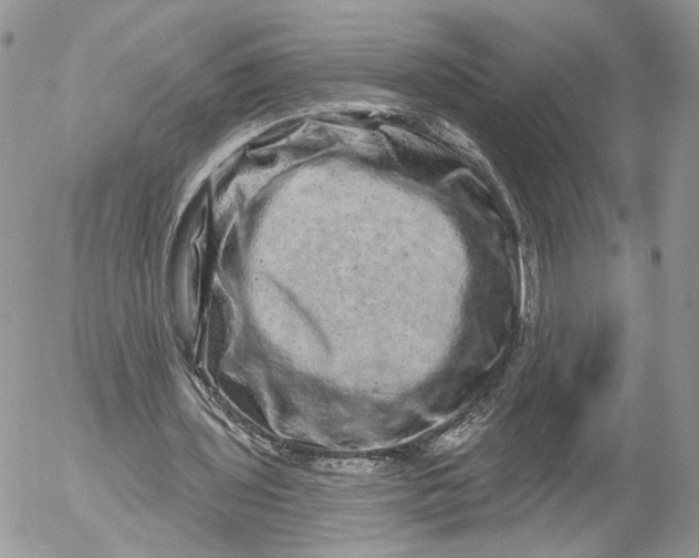 X0000052590435200507221612