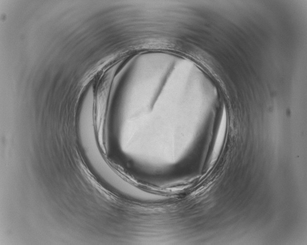 X0000052590437200507221612