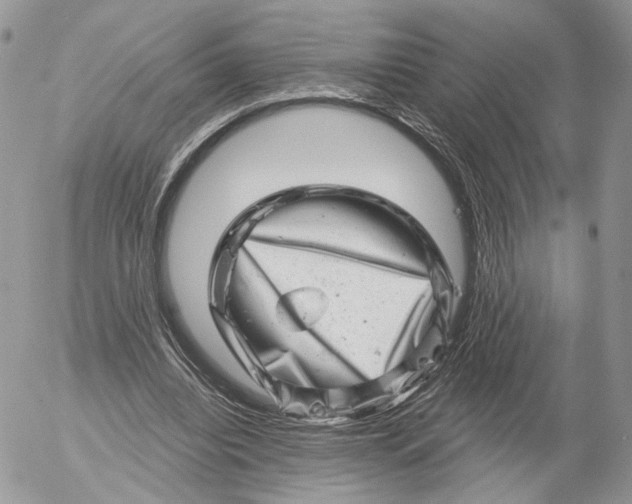 X0000052590440200507221612