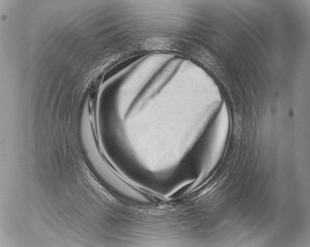X0000052590441200507221612