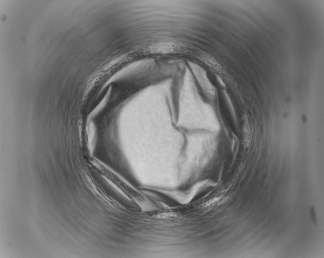 X0000052590446200507221613