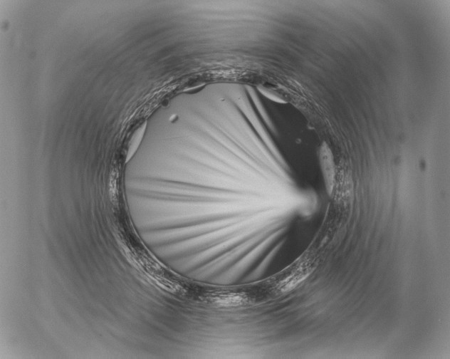 X0000052590456200507221613