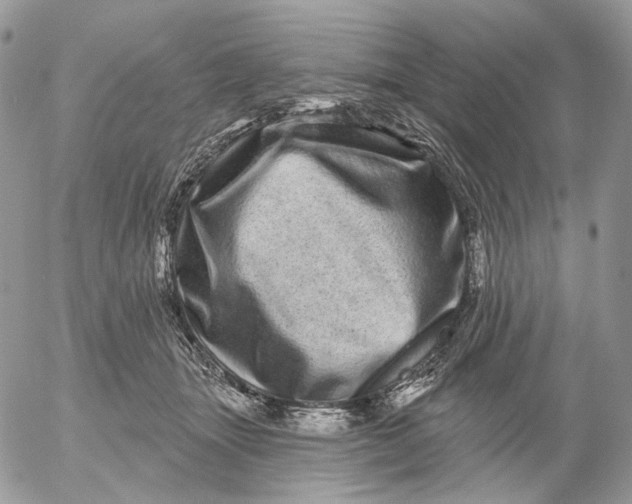 X0000052590463200507221613