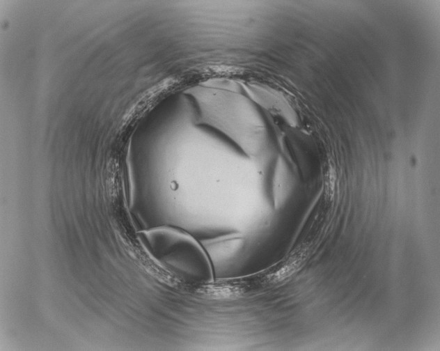 X0000052590464200507221613