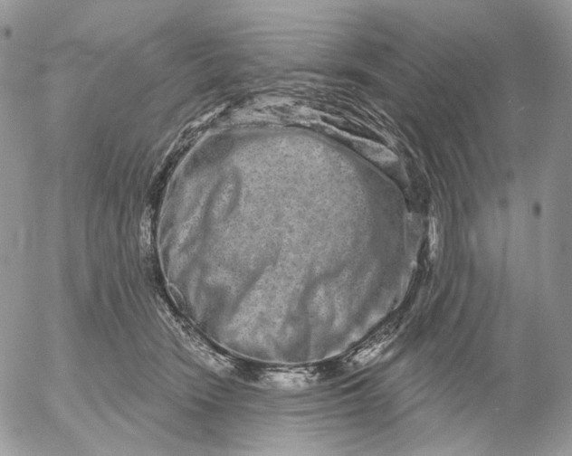 X0000052590466200507221613