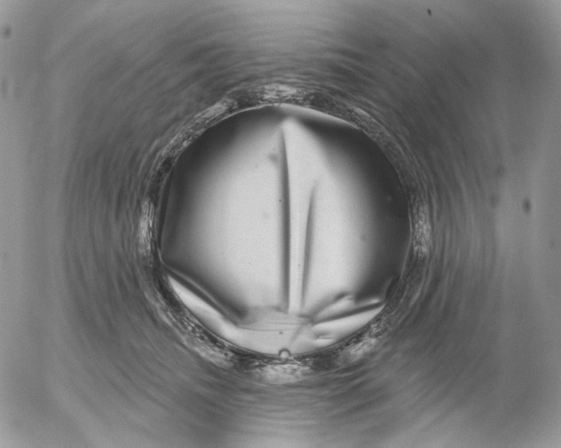 X0000052590468200507221613