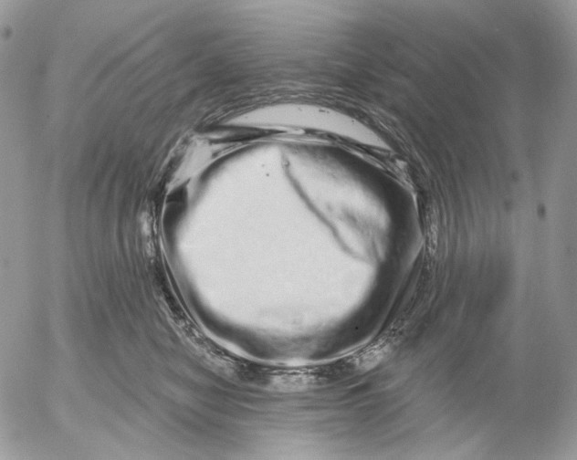 X0000052590470200507221613