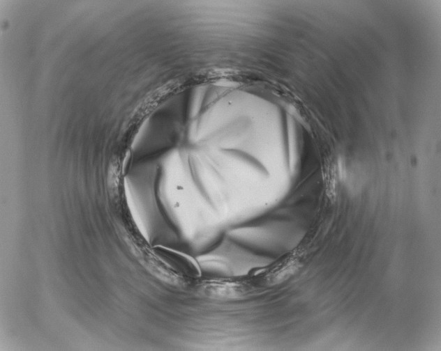 X0000052590472200507221613