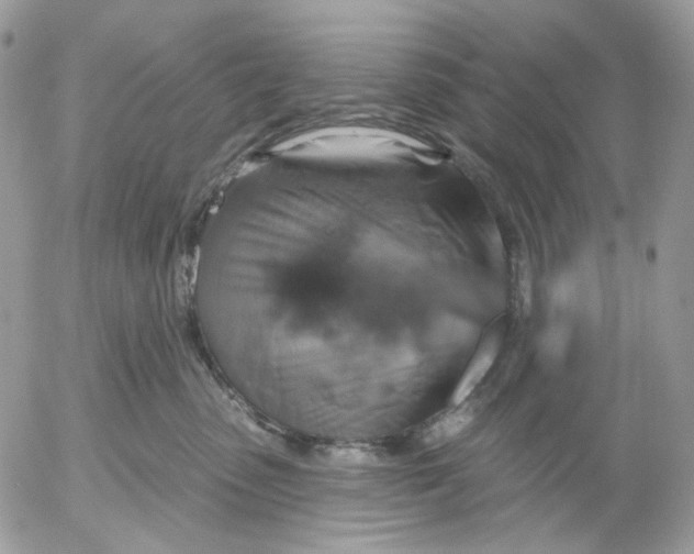X0000052590475200507221613