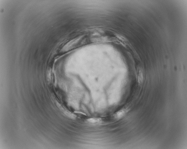 X0000052590477200507221613