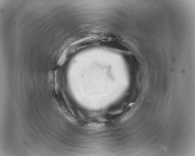 X0000052590480200507221613