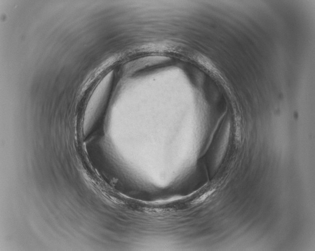 X0000052590486200507221612
