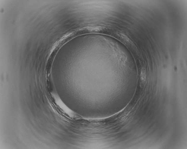 X0000052590492200507221612