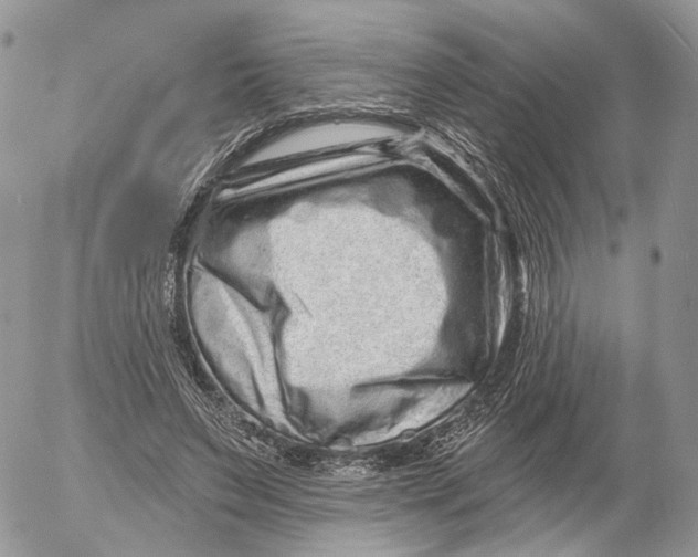 X0000052590495200507221612