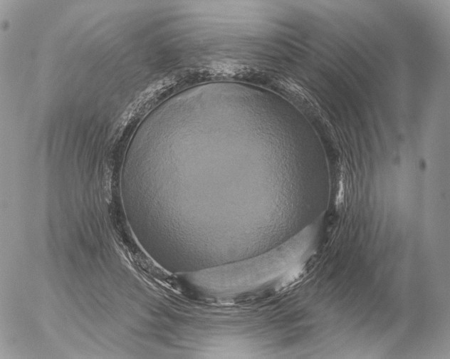 X0000052590496200507221612