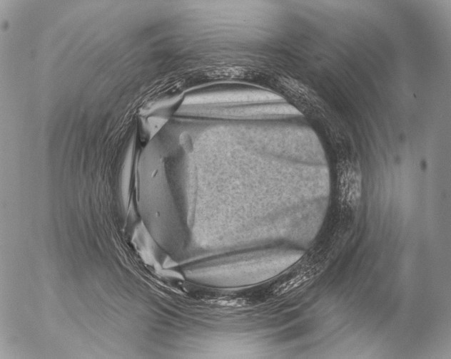 X0000052590498200507221612