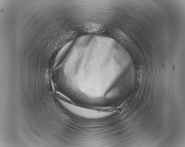 X0000052590510200507221612