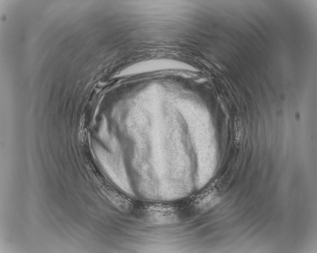 X0000052590515200507221612